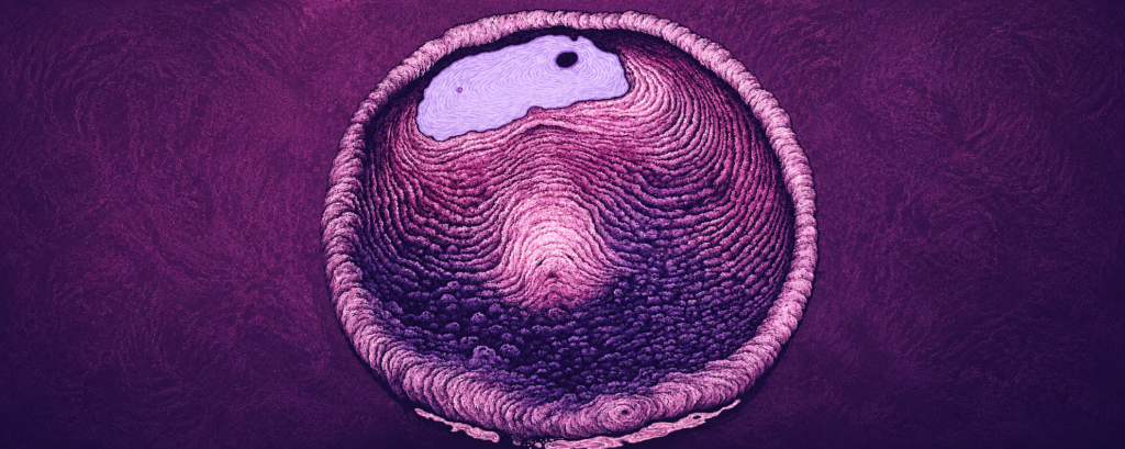 Acupuntura y fallos de implantación